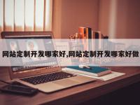 网站定制开发哪家好,网站定制开发哪家好做