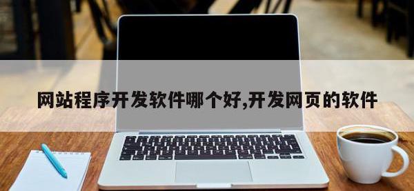 网站程序开发软件哪个好,开发网页的软件