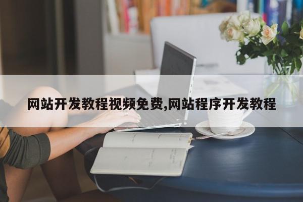 网站开发教程视频免费,网站程序开发教程